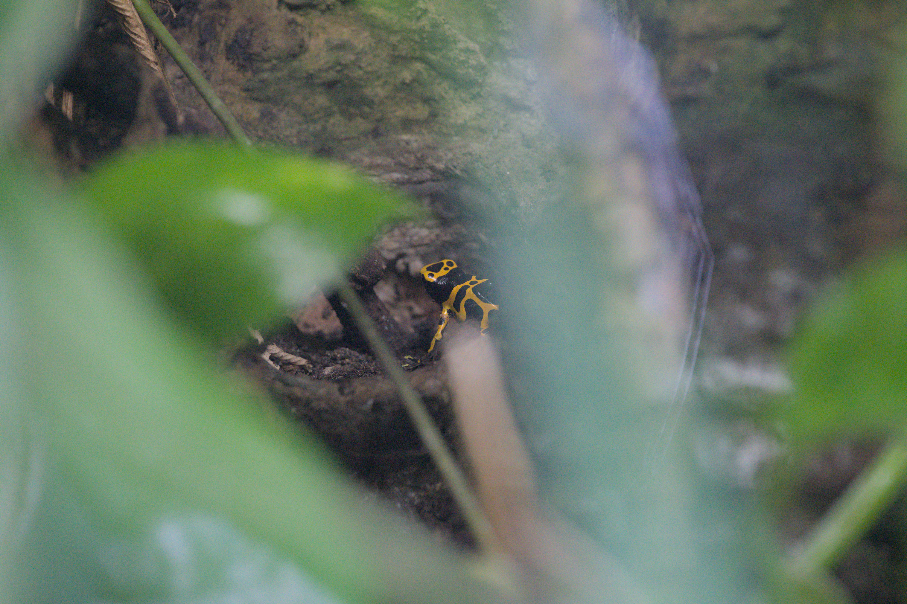 2025/10/12 - zoo/DSC_0165.jpg